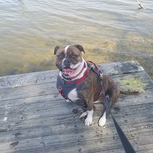 Meet your Posher, Sandra